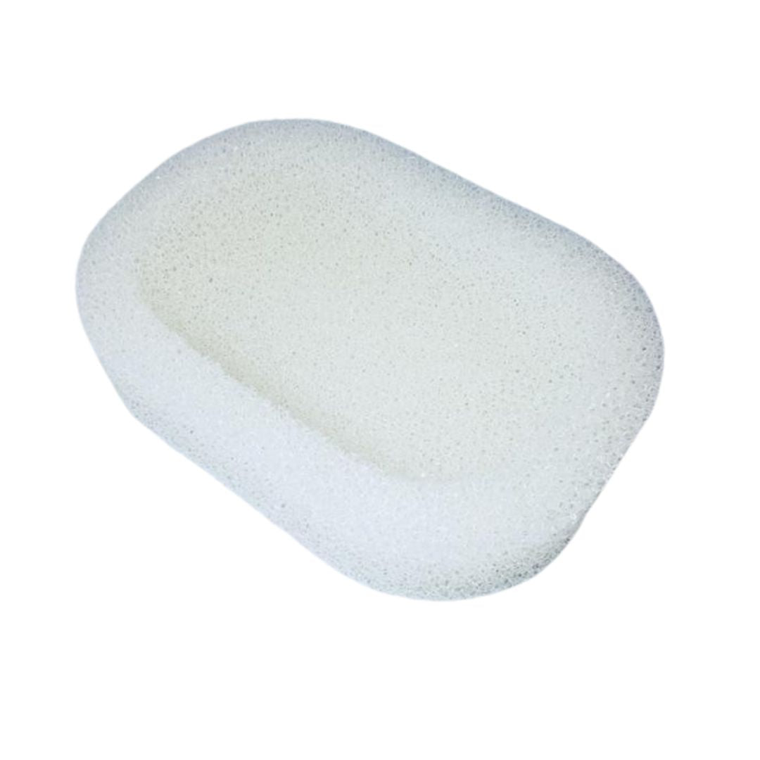 Quick Dry Sponge Soap Dish