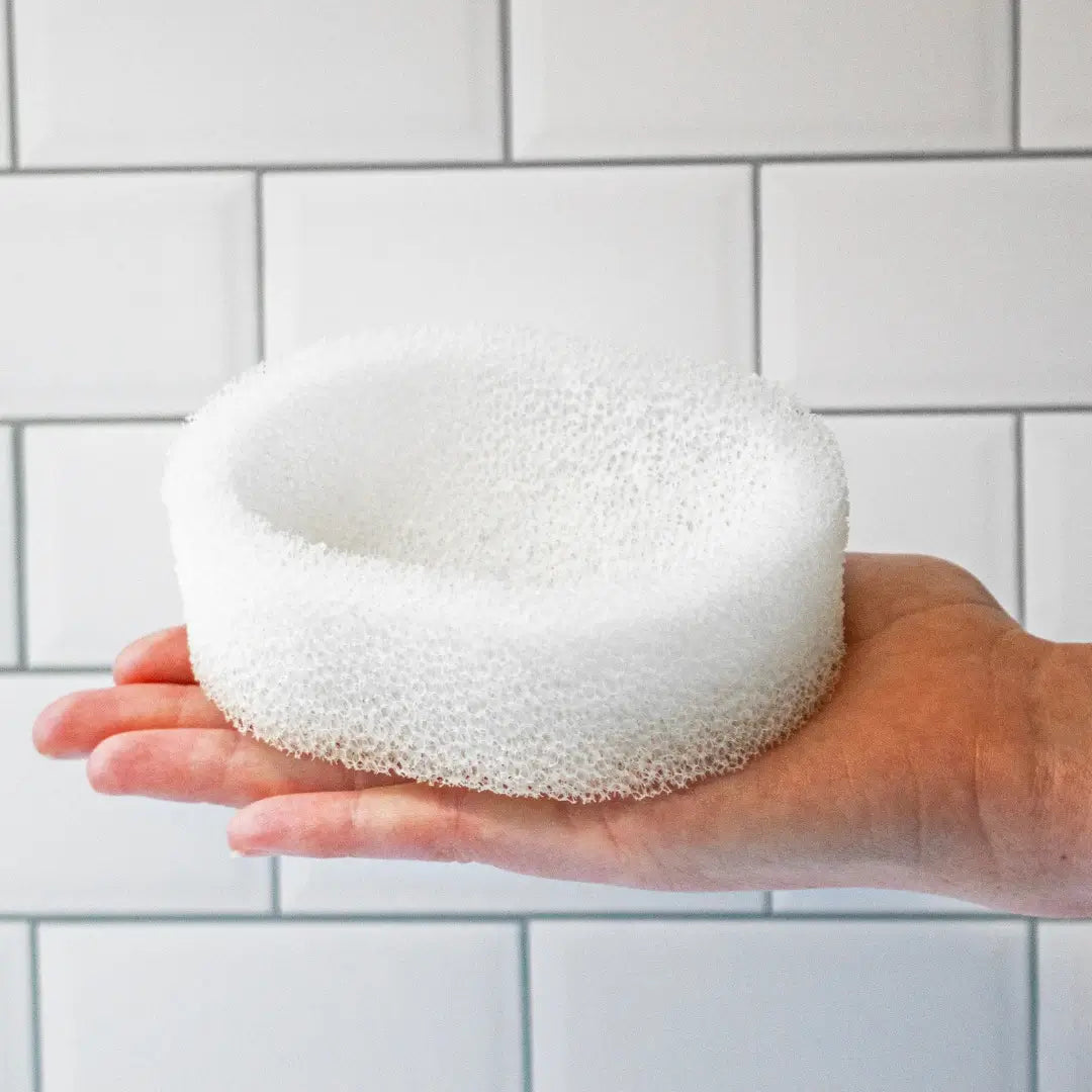 Quick Dry Sponge Soap Dish