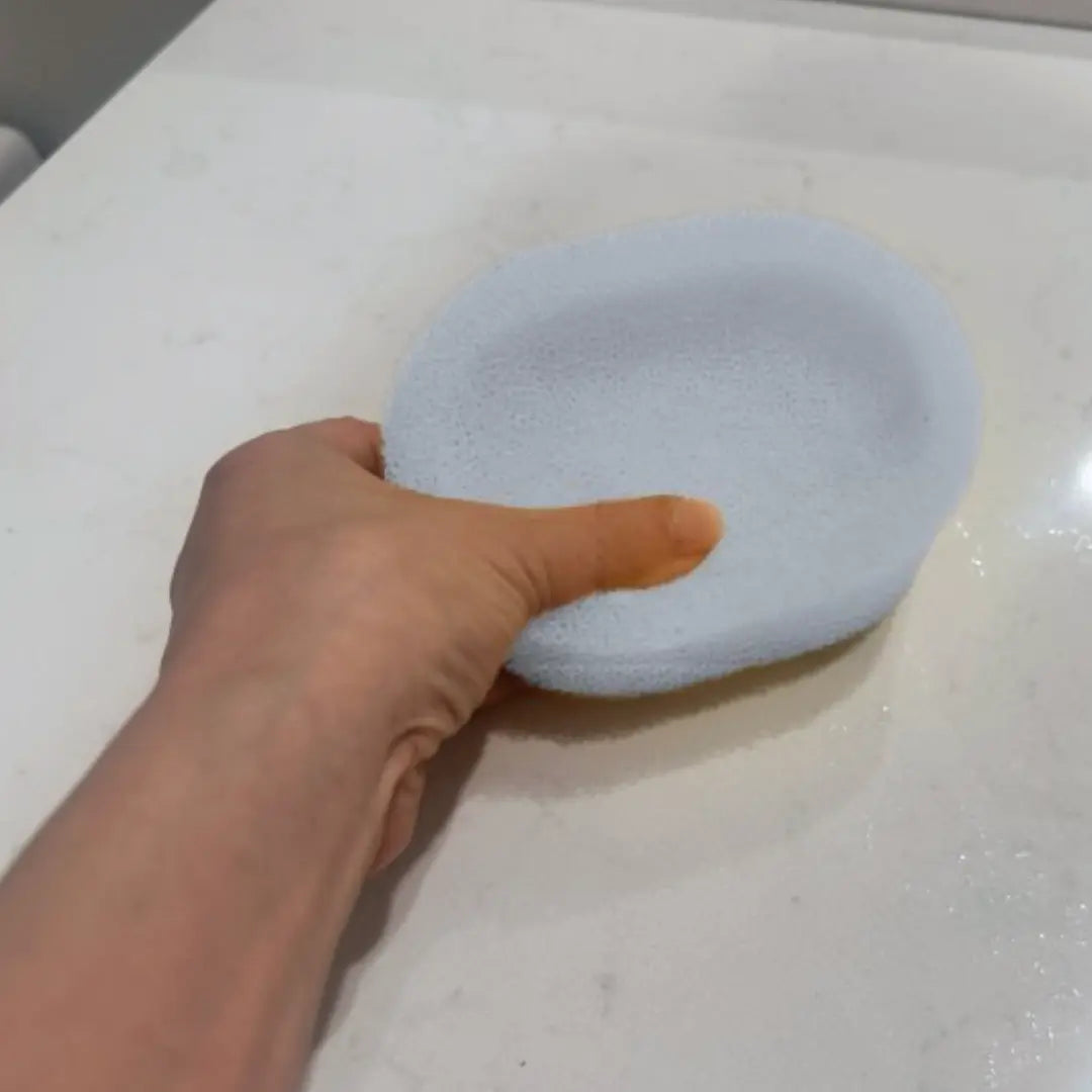 Quick Dry Sponge Soap Dish