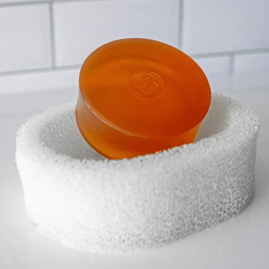 Quick Dry Sponge Soap Dish